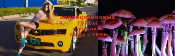 ешки Алексин
