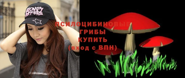ешки Алексин