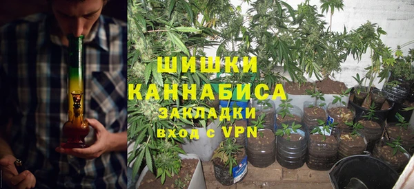 стаф Алзамай