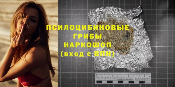 ешки Алексин