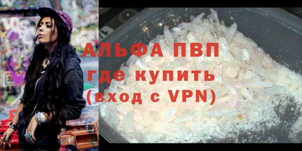 ешки Алексин