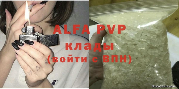 стаф Алзамай