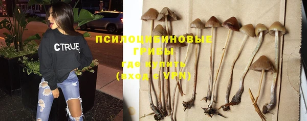 ешки Алексин